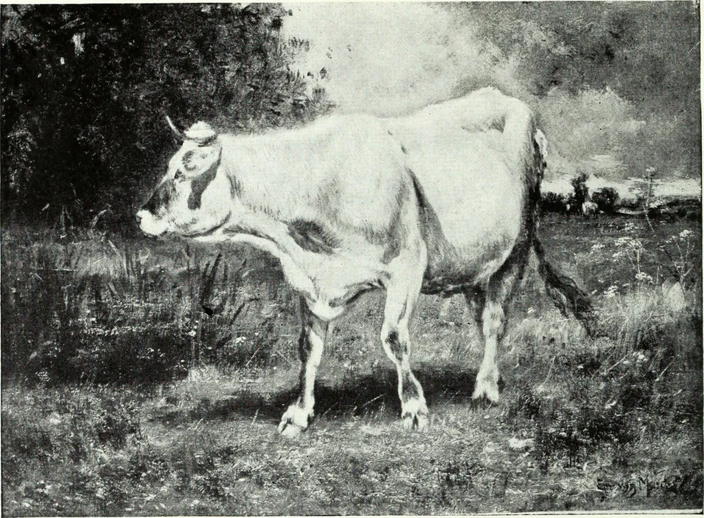 An illustration from Illustrated catalogue of valuable old and modern paintings of artistic distinction .., 1921, leaf 49