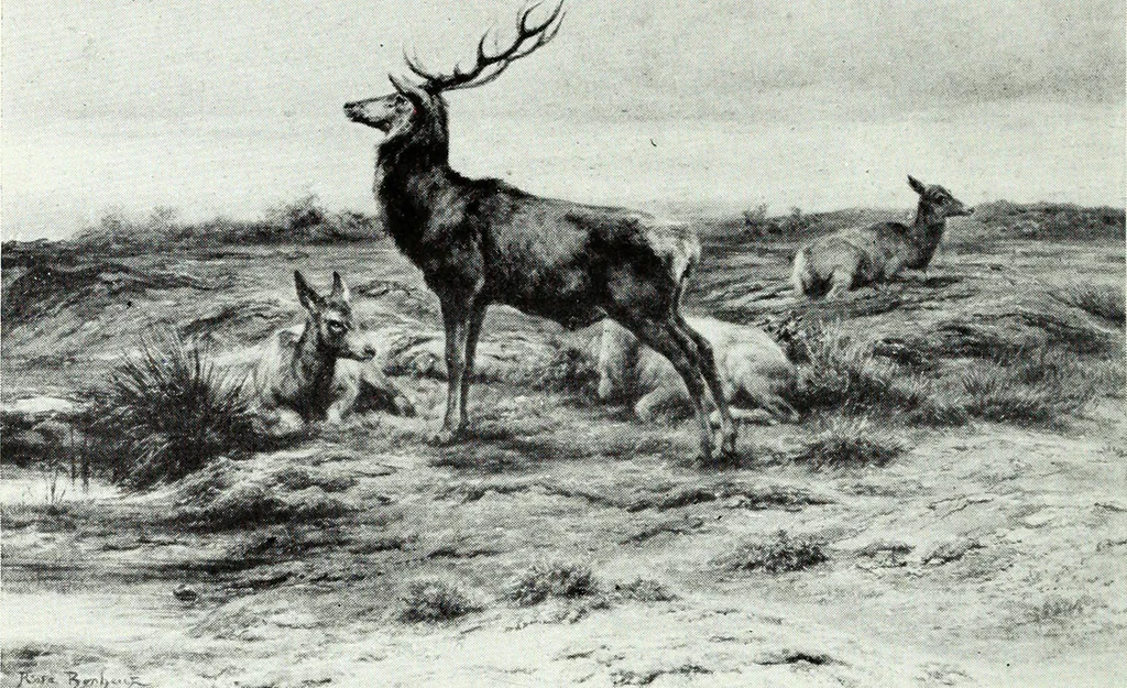 An illustration from Illustrated catalogue of valuable old and modern paintings of artistic distinction .., 1921, leaf 61