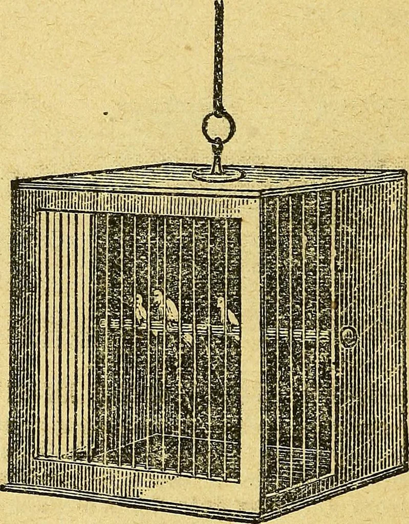 An illustration from Illustrated descriptive price-list of magical apparatus and illusions .., 1884, leaf 107
