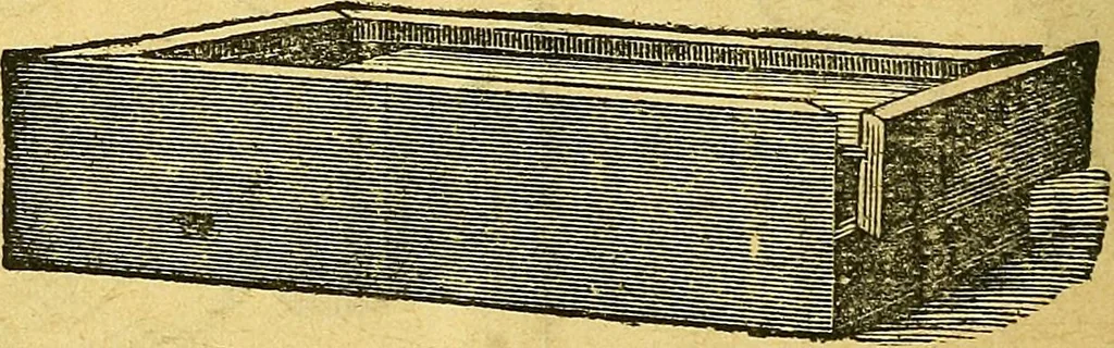 An illustration from Illustrated descriptive price-list of magical apparatus and illusions .., 1884, leaf 11
