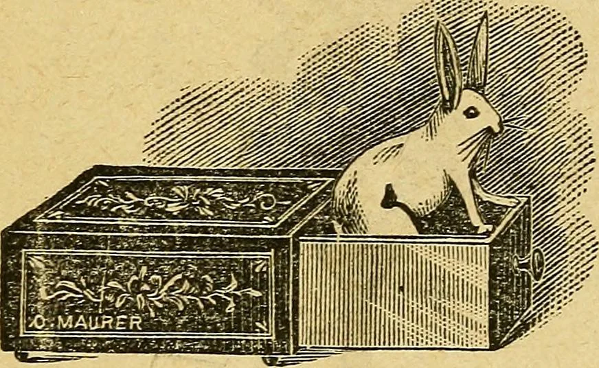 An illustration from Illustrated descriptive price-list of magical apparatus and illusions .., 1884, leaf 110