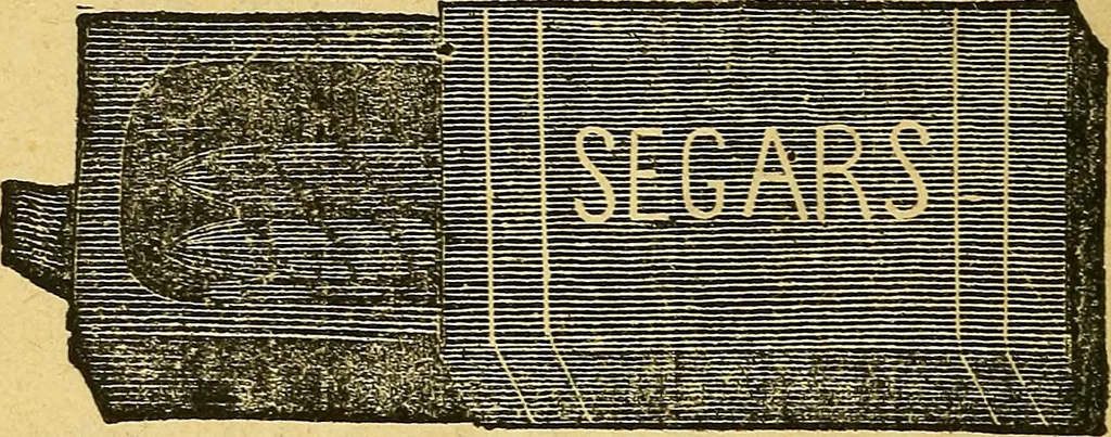 An illustration from Illustrated descriptive price-list of magical apparatus and illusions .., 1884, leaf 13
