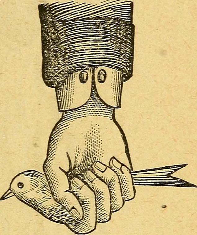 An illustration from Illustrated descriptive price-list of magical apparatus and illusions .., 1884, leaf 20