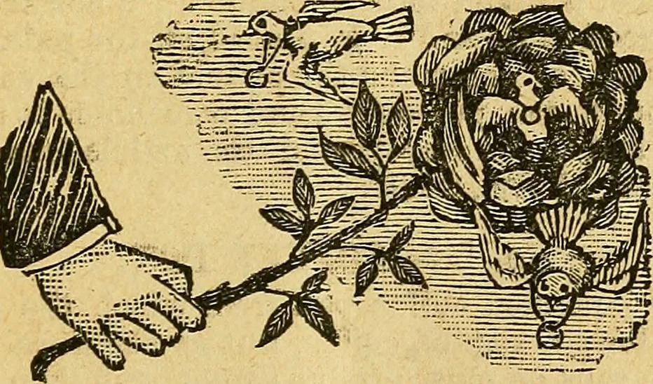 An illustration from Illustrated descriptive price-list of magical apparatus and illusions .., 1884, leaf 30