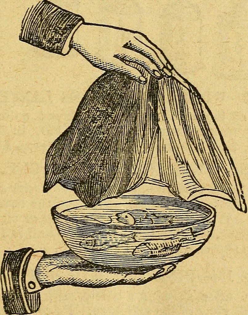 An illustration from Illustrated descriptive price-list of magical apparatus and illusions .., 1884, leaf 32