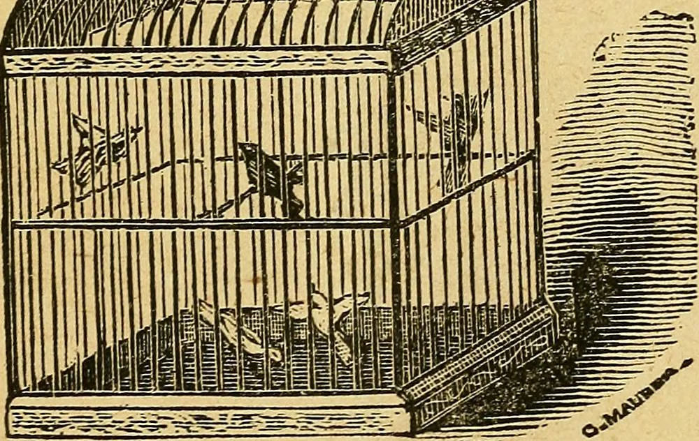 An illustration from Illustrated descriptive price-list of magical apparatus and illusions .., 1884, leaf 42