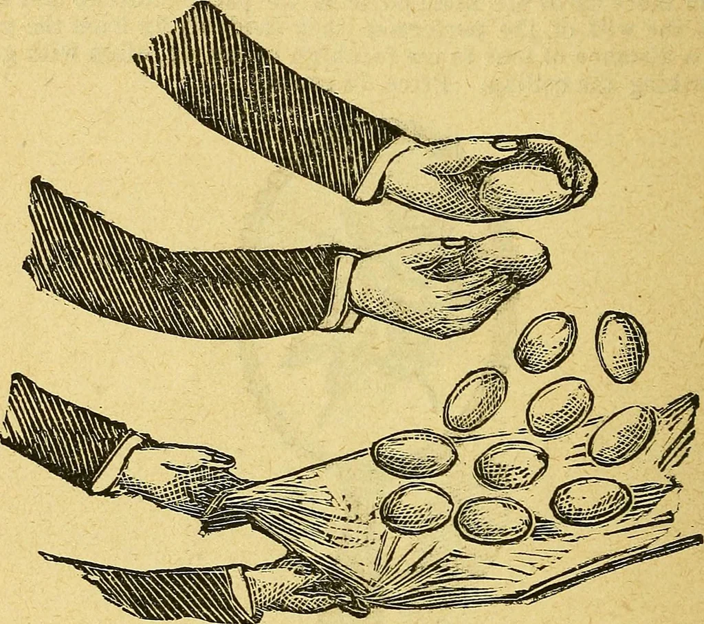 An illustration from Illustrated descriptive price-list of magical apparatus and illusions .., 1884, leaf 49