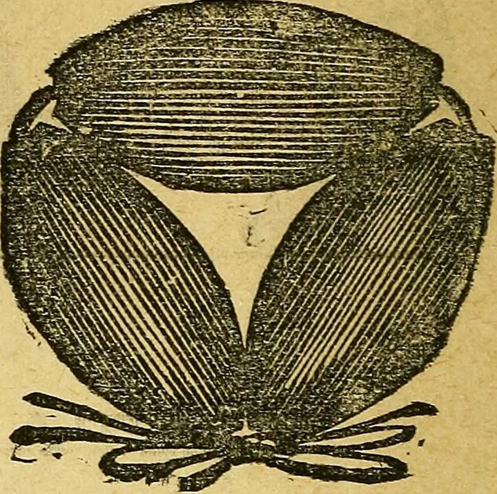 An illustration from Illustrated descriptive price-list of magical apparatus and illusions .., 1884, leaf 7