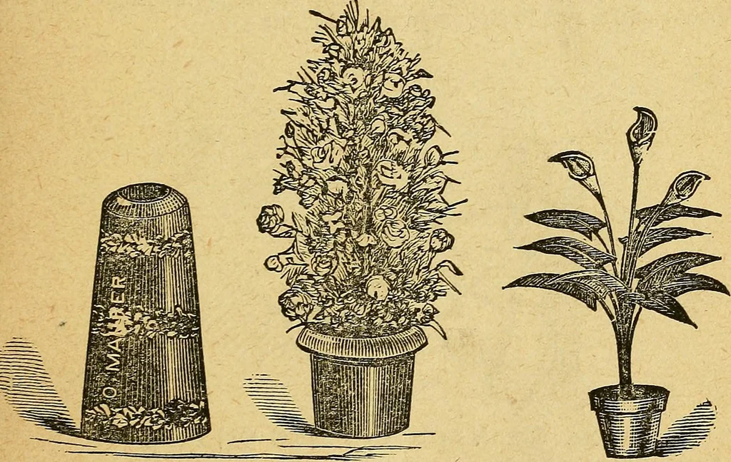 An illustration from Illustrated descriptive price-list of magical apparatus and illusions .., 1884, leaf 70