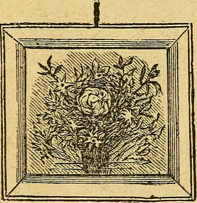 An illustration from Illustrated descriptive price-list of magical apparatus and illusions .., 1884, leaf 80