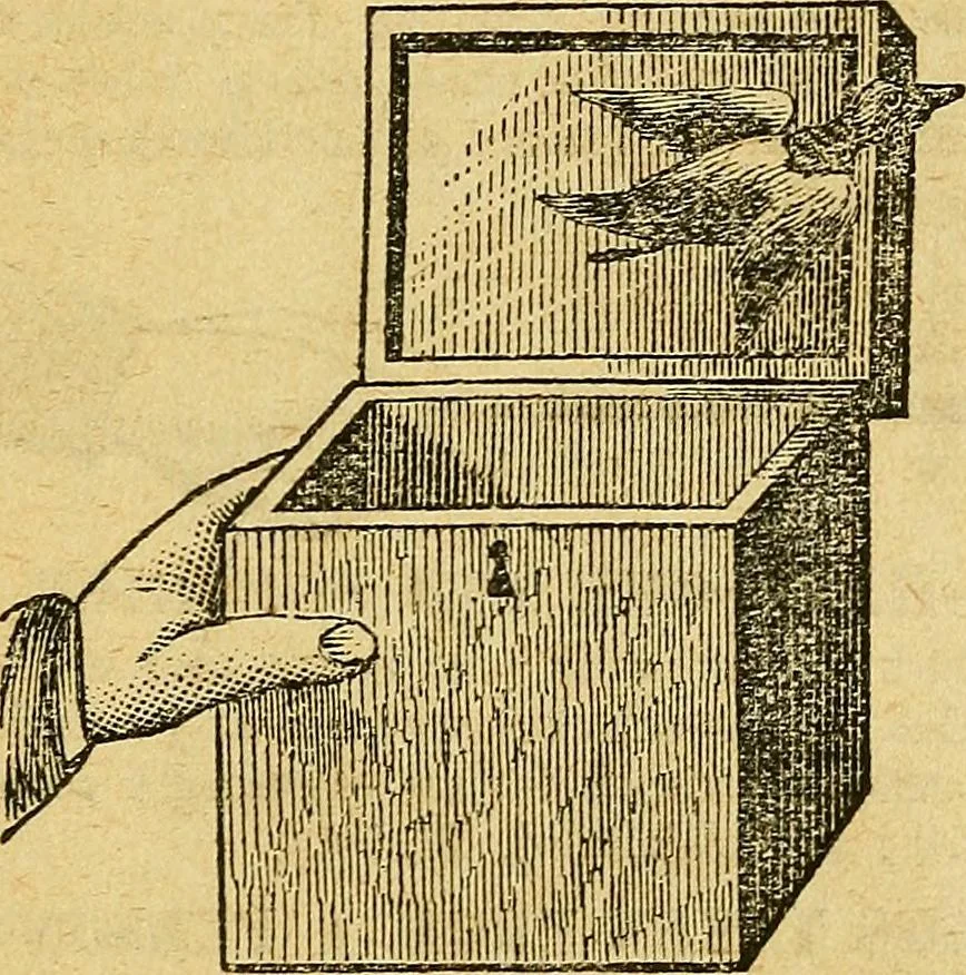 An illustration from Illustrated descriptive price-list of magical apparatus and illusions .., 1884, leaf 84