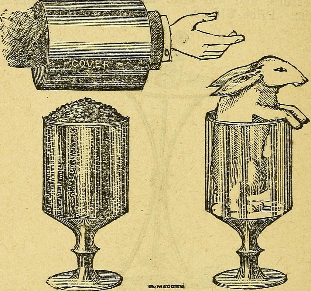 An illustration from Illustrated descriptive price-list of magical apparatus and illusions .., 1884, leaf 89