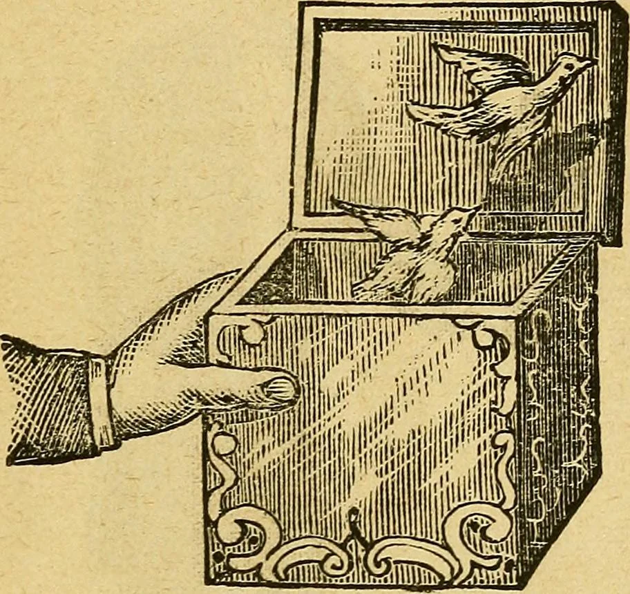An illustration from Illustrated descriptive price-list of magical apparatus and illusions .., 1884, leaf 94