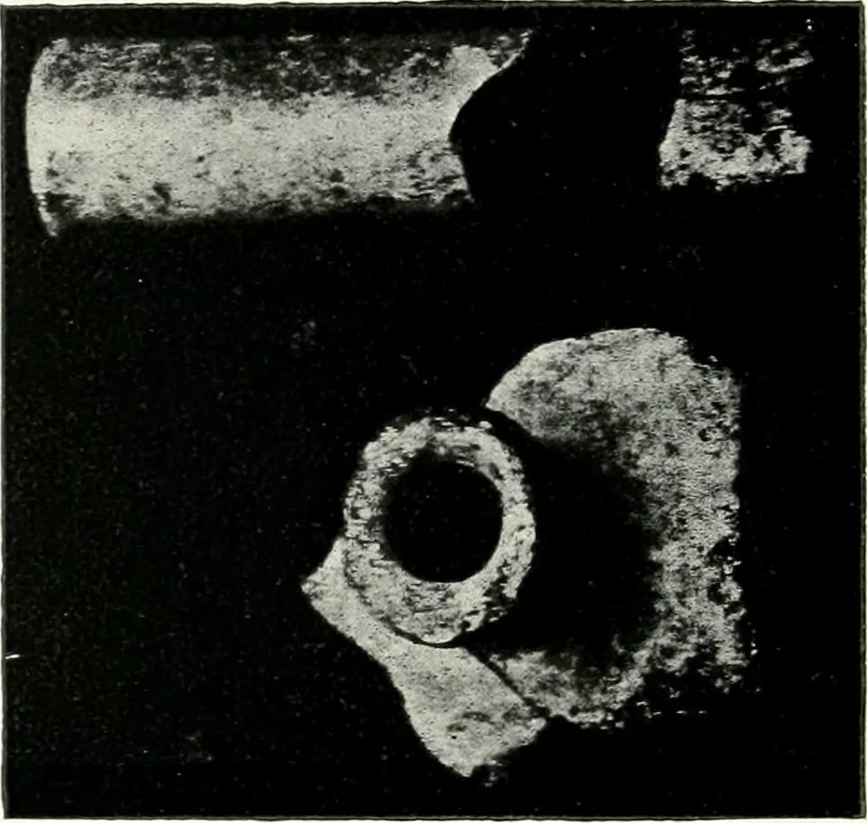 An illustration from Illustrated descriptive account of the Museum of Andalucian pottery and lace, antique and modern : together with notes on pre-Roman Seville and the lost city of Tharsis, 1913, leaf 115