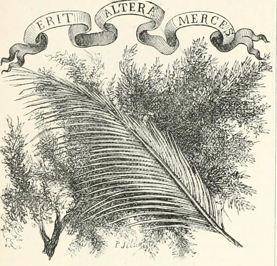 An illustration from An illustrated dictionary of words used in art and archaeology. Explaining terms frequently used in works on architecture, arms, bronzes, Christian art, colour, costume, decoration, devices, emblems, heraldry, lace, personal ornaments, pottery, painting, sculpture, &c., with their derivations, 1883, leaf 114