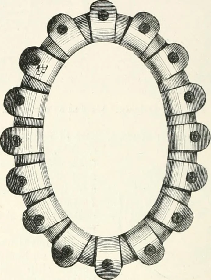 An illustration from An illustrated dictionary of words used in art and archaeology. Explaining terms frequently used in works on architecture, arms, bronzes, Christian art, colour, costume, decoration, devices, emblems, heraldry, lace, personal ornaments, pottery, painting, sculpture, &c., with their derivations, 1883, leaf 119