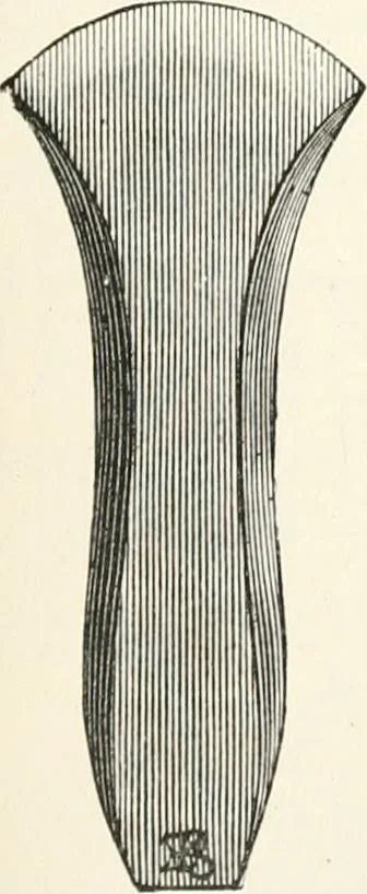 An illustration from An illustrated dictionary of words used in art and archaeology. Explaining terms frequently used in works on architecture, arms, bronzes, Christian art, colour, costume, decoration, devices, emblems, heraldry, lace, personal ornaments, pottery, painting, sculpture, &c., with their derivations, 1883, leaf 124