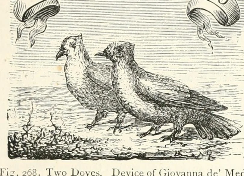An illustration from An illustrated dictionary of words used in art and archaeology. Explaining terms frequently used in works on architecture, arms, bronzes, Christian art, colour, costume, decoration, devices, emblems, heraldry, lace, personal ornaments, pottery, painting, sculpture, &c., with their derivations, 1883, leaf 128
