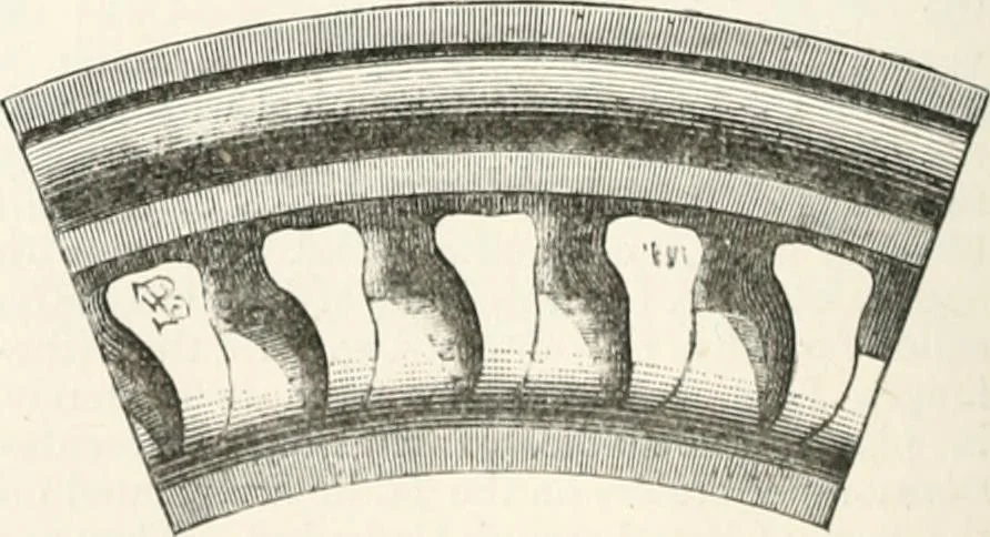 An illustration from An illustrated dictionary of words used in art and archaeology. Explaining terms frequently used in works on architecture, arms, bronzes, Christian art, colour, costume, decoration, devices, emblems, heraldry, lace, personal ornaments, pottery, painting, sculpture, &c., with their derivations, 1883, leaf 151