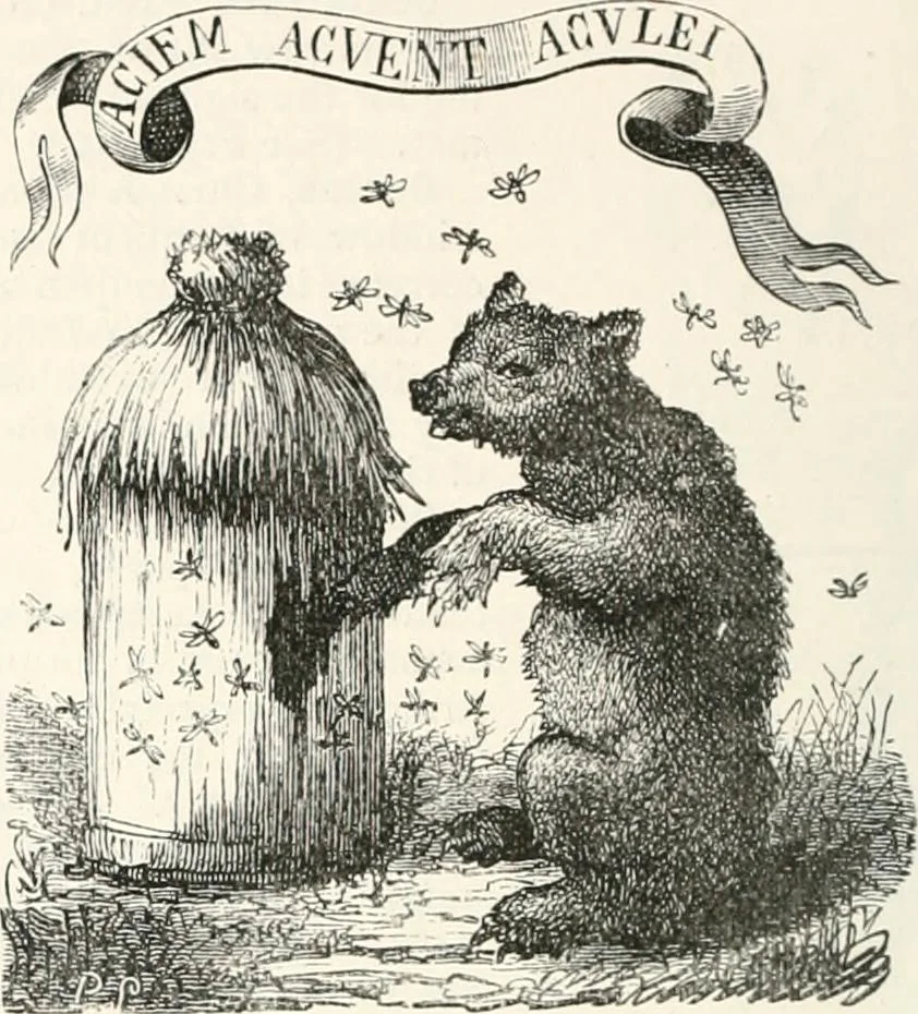 An illustration from An illustrated dictionary of words used in art and archaeology. Explaining terms frequently used in works on architecture, arms, bronzes, Christian art, colour, costume, decoration, devices, emblems, heraldry, lace, personal ornaments, pottery, painting, sculpture, &c., with their derivations, 1883, leaf 243