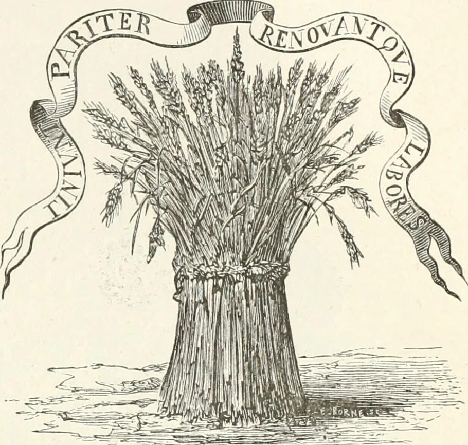 An illustration from An illustrated dictionary of words used in art and archaeology. Explaining terms frequently used in works on architecture, arms, bronzes, Christian art, colour, costume, decoration, devices, emblems, heraldry, lace, personal ornaments, pottery, painting, sculpture, &c., with their derivations, 1883, leaf 306
