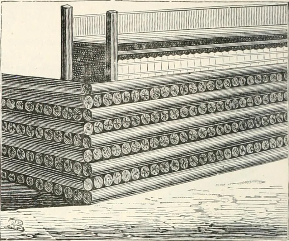 An illustration from An illustrated dictionary of words used in art and archaeology. Explaining terms frequently used in works on architecture, arms, bronzes, Christian art, colour, costume, decoration, devices, emblems, heraldry, lace, personal ornaments, pottery, painting, sculpture, &c., with their derivations, 1883, leaf 319