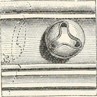 An illustration from An illustrated dictionary of words used in art and archaeology. Explaining terms frequently used in works on architecture, arms, bronzes, Christian art, colour, costume, decoration, devices, emblems, heraldry, lace, personal ornaments, pottery, painting, sculpture, &c., with their derivations, 1883, leaf 42