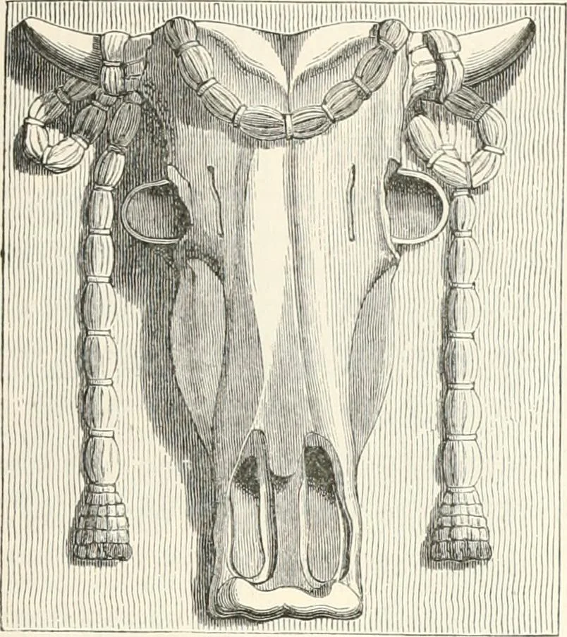 An illustration from An illustrated dictionary of words used in art and archaeology. Explaining terms frequently used in works on architecture, arms, bronzes, Christian art, colour, costume, decoration, devices, emblems, heraldry, lace, personal ornaments, pottery, painting, sculpture, &c., with their derivations, 1883, leaf 60