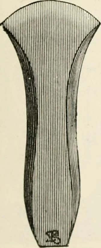 An illustration from An illustrated dictionary of words used in art and archaeology. Explaining terms frequently used in works on architecture, arms, bronzes, Christian art, colour, costume, decoration, devices, emblems, heraldry, lace, personal ornaments, pottery, painting, sculpture, &c, with their derivations, 1883, leaf 130