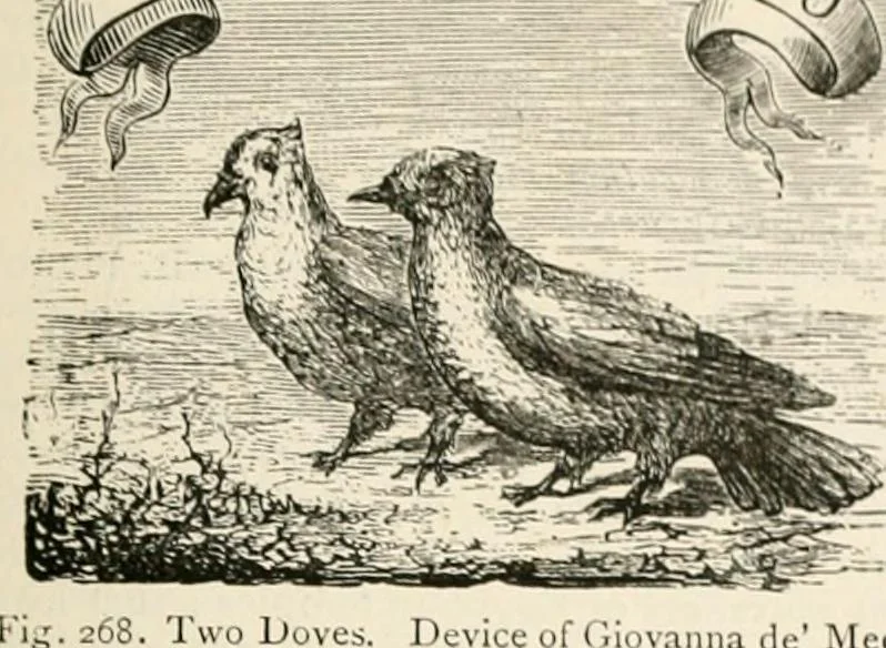 An illustration from An illustrated dictionary of words used in art and archaeology. Explaining terms frequently used in works on architecture, arms, bronzes, Christian art, colour, costume, decoration, devices, emblems, heraldry, lace, personal ornaments, pottery, painting, sculpture, &c, with their derivations, 1883, leaf 134