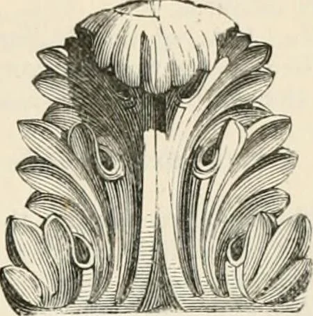 An illustration from An illustrated dictionary of words used in art and archaeology. Explaining terms frequently used in works on architecture, arms, bronzes, Christian art, colour, costume, decoration, devices, emblems, heraldry, lace, personal ornaments, pottery, painting, sculpture, &c, with their derivations, 1883, leaf 14
