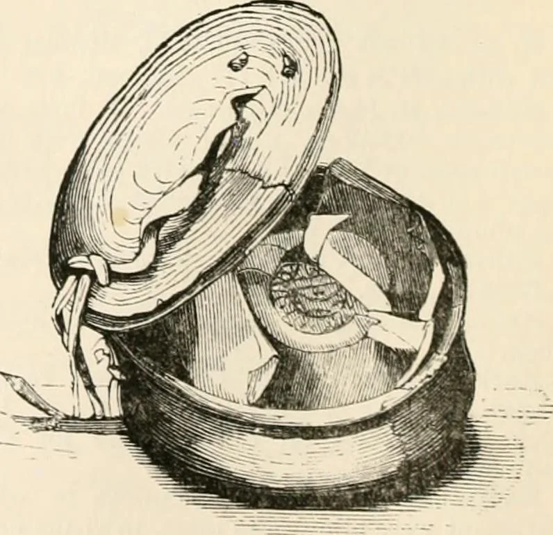 An illustration from An illustrated dictionary of words used in art and archaeology. Explaining terms frequently used in works on architecture, arms, bronzes, Christian art, colour, costume, decoration, devices, emblems, heraldry, lace, personal ornaments, pottery, painting, sculpture, &c, with their derivations, 1883, leaf 181