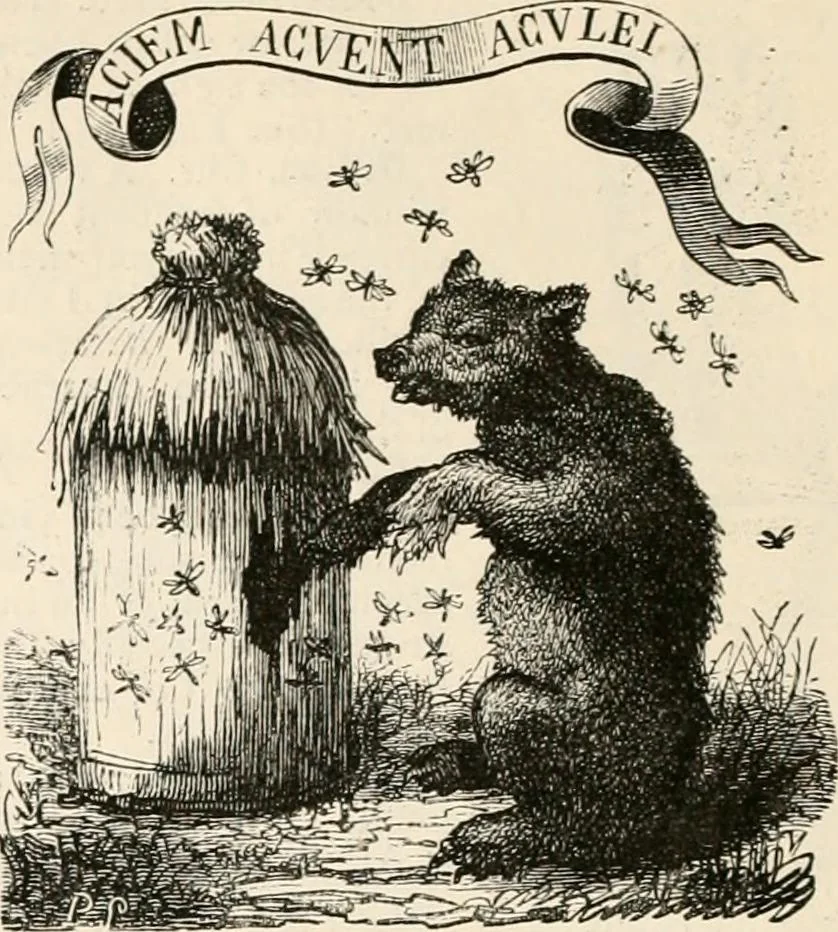 An illustration from An illustrated dictionary of words used in art and archaeology. Explaining terms frequently used in works on architecture, arms, bronzes, Christian art, colour, costume, decoration, devices, emblems, heraldry, lace, personal ornaments, pottery, painting, sculpture, &c, with their derivations, 1883, leaf 249
