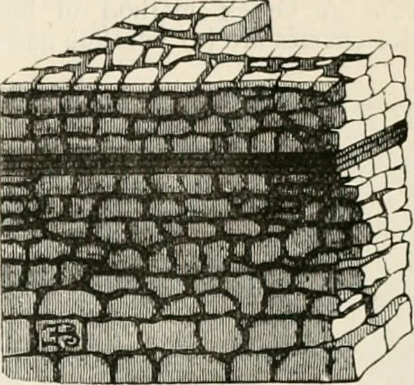 An illustration from An illustrated dictionary of words used in art and archaeology. Explaining terms frequently used in works on architecture, arms, bronzes, Christian art, colour, costume, decoration, devices, emblems, heraldry, lace, personal ornaments, pottery, painting, sculpture, &c, with their derivations, 1883, leaf 252