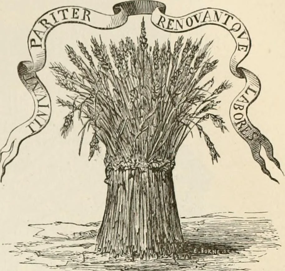 An illustration from An illustrated dictionary of words used in art and archaeology. Explaining terms frequently used in works on architecture, arms, bronzes, Christian art, colour, costume, decoration, devices, emblems, heraldry, lace, personal ornaments, pottery, painting, sculpture, &c, with their derivations, 1883, leaf 312