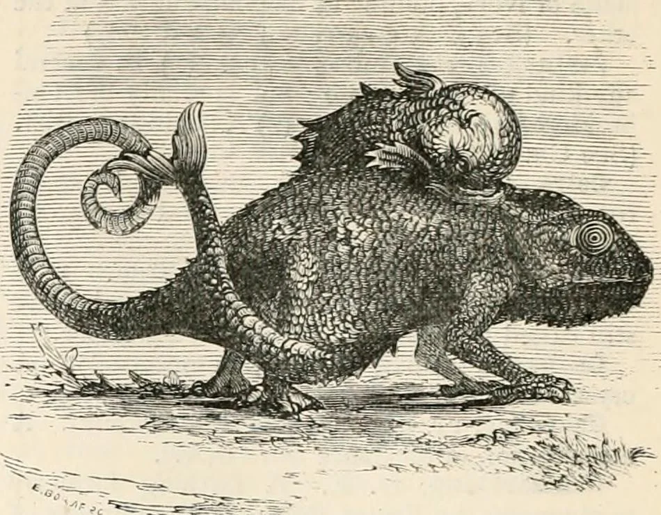 An illustration from An illustrated dictionary of words used in art and archaeology. Explaining terms frequently used in works on architecture, arms, bronzes, Christian art, colour, costume, decoration, devices, emblems, heraldry, lace, personal ornaments, pottery, painting, sculpture, &c, with their derivations, 1883, leaf 81