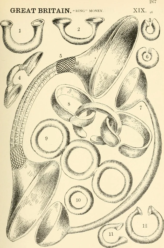 An illustration from Illustrated encyclopaedia of gold and silver coins of the world; illustrating the modern, ancient, current and curious, from A.D. 1885 back to B.C. 700, 1886, leaf 274