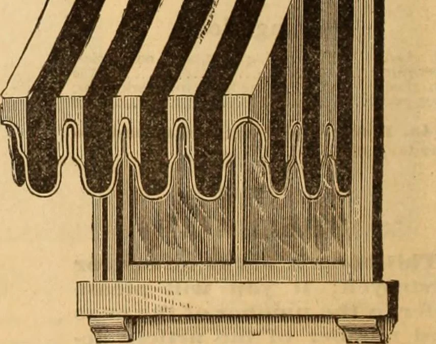 An illustration from Illustrated fashion catalogue : summer, 1890, 1890, leaf 29