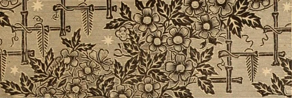 An illustration from Illustrated fashion catalogue : summer, 1890, 1890, leaf 30