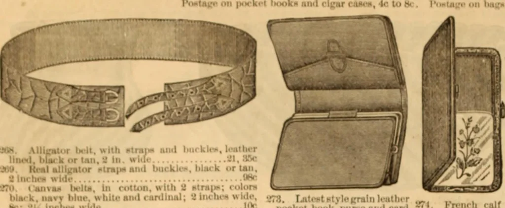 An illustration from Illustrated fashion catalogue : summer, 1890, 1890, leaf 35