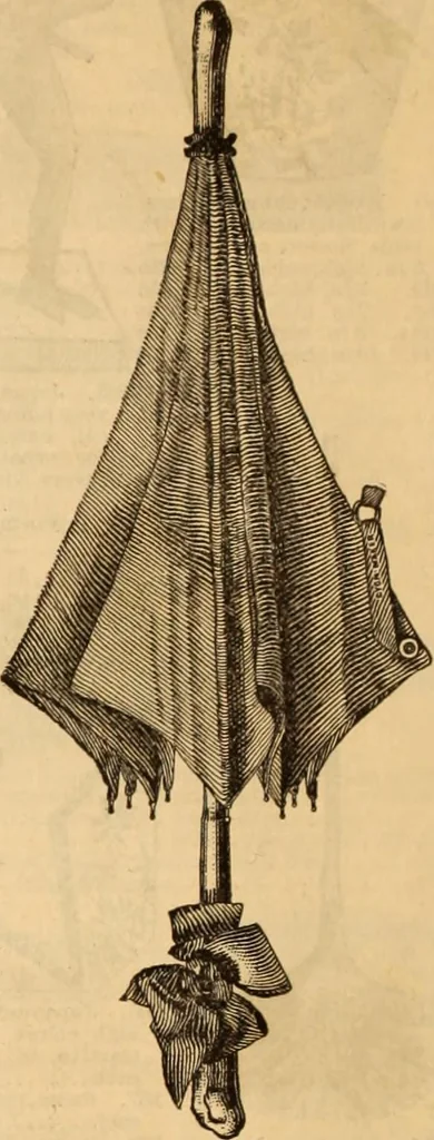 An illustration from Illustrated fashion catalogue : summer, 1890, 1890, leaf 39