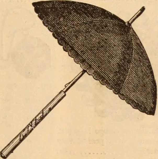 An illustration from Illustrated fashion catalogue : summer, 1890, 1890, leaf 40