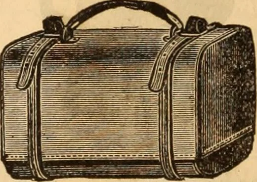 An illustration from Illustrated fashion catalogue : summer, 1890, 1890, leaf 53