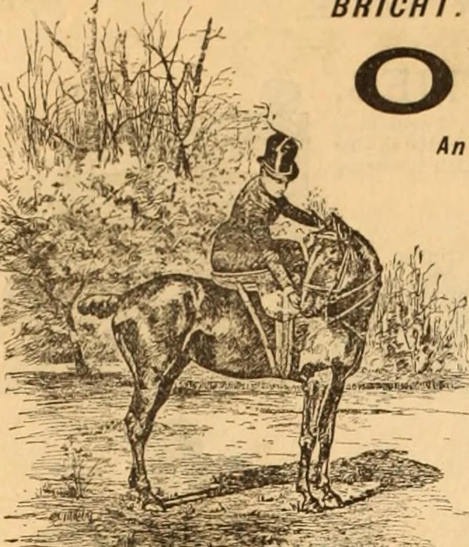 An illustration from Illustrated fashion catalogue : summer, 1890, 1890, leaf 59