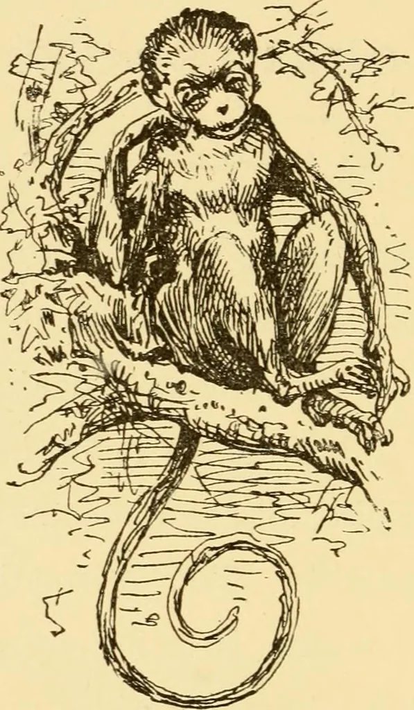 An illustration from Illustrated homes: a series of papers describing real houses and real people, 1875, leaf 167