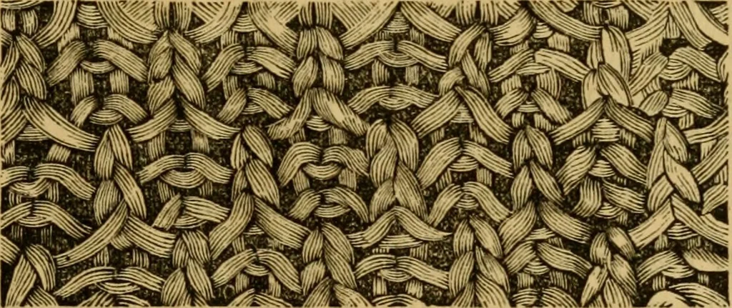An illustration from Illustrated instructions for setting up and running the Bickford family knitting machine, also for making the different articles thereon .., 1871, leaf 22