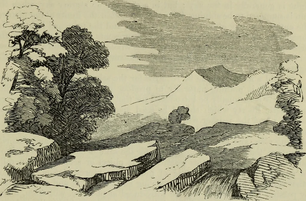 An illustration from The illustrated London drawing book ..., 1853, leaf 118