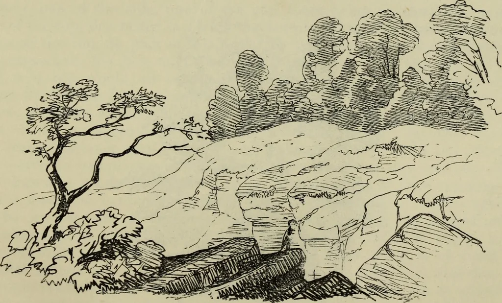 An illustration from The illustrated London drawing book ..., 1853, leaf 118