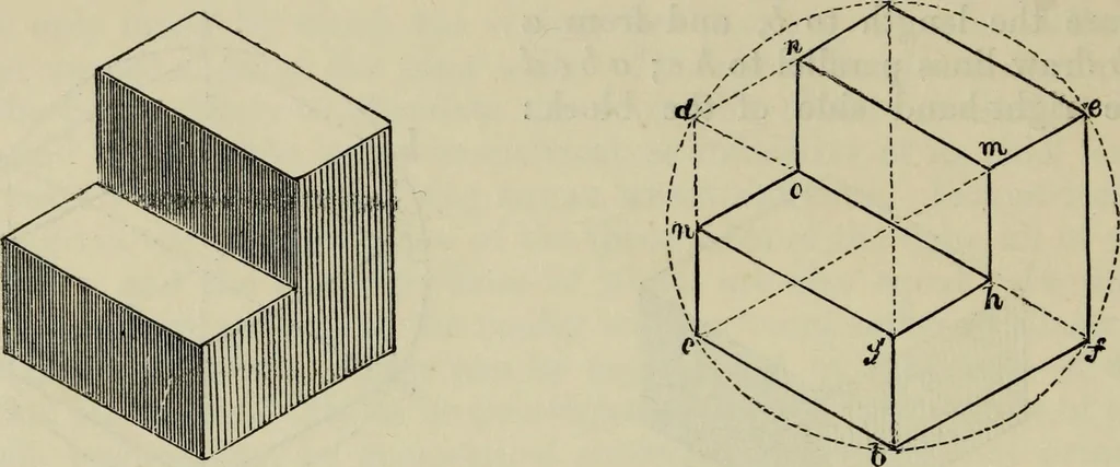 An illustration from The illustrated London drawing book ..., 1853, leaf 123