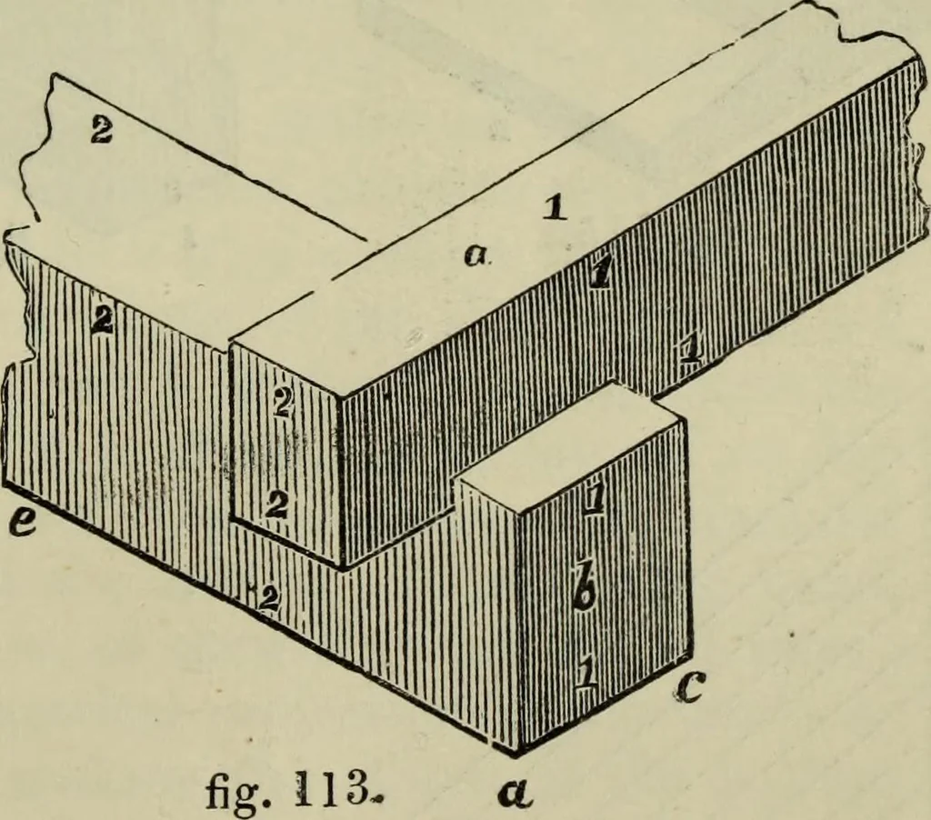 An illustration from The illustrated London drawing book ..., 1853, leaf 128